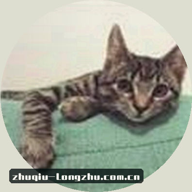 江悦
